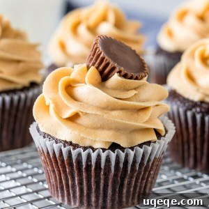 Chocolate cupcakes with peanut butter frosting on a wire rack.
