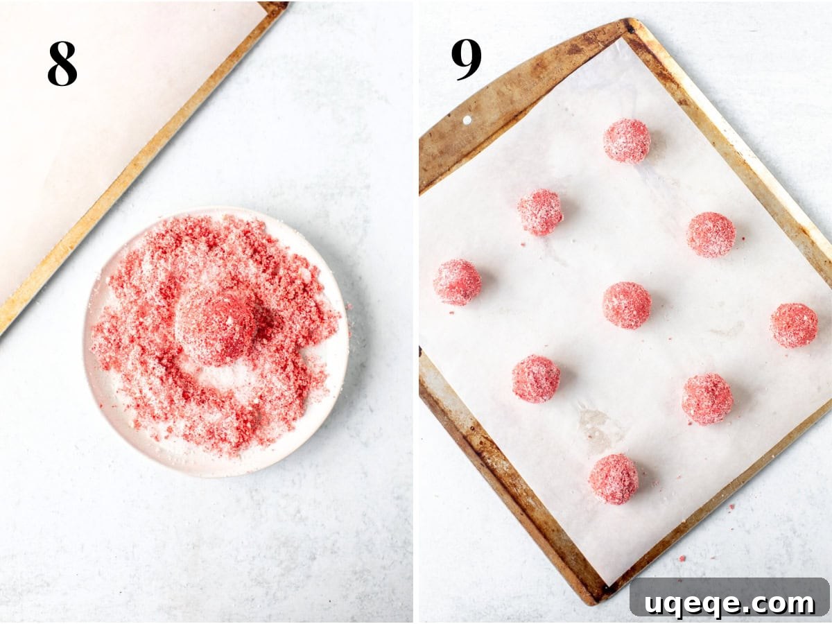 Rosy Strawberry Sugar Cookies 8 A visual guide to preparing the cookies for baking: strawberry sugar cookie dough balls, some already beautifully rolled in a strawberry-infused sugar mixture, and others neatly arranged on a lined cookie sheet, perfectly spaced and ready to enter the oven.