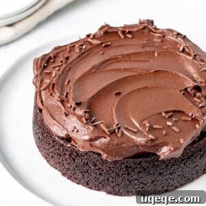 Mini chocolate cake with fluffy chocolate frosting.