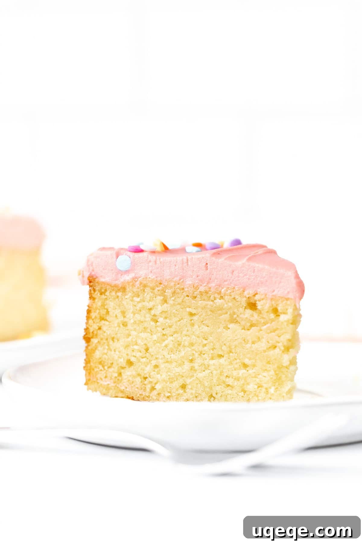 Petite Vanilla Dream 3 Slice of mini vanilla cake topped with vanilla frosting