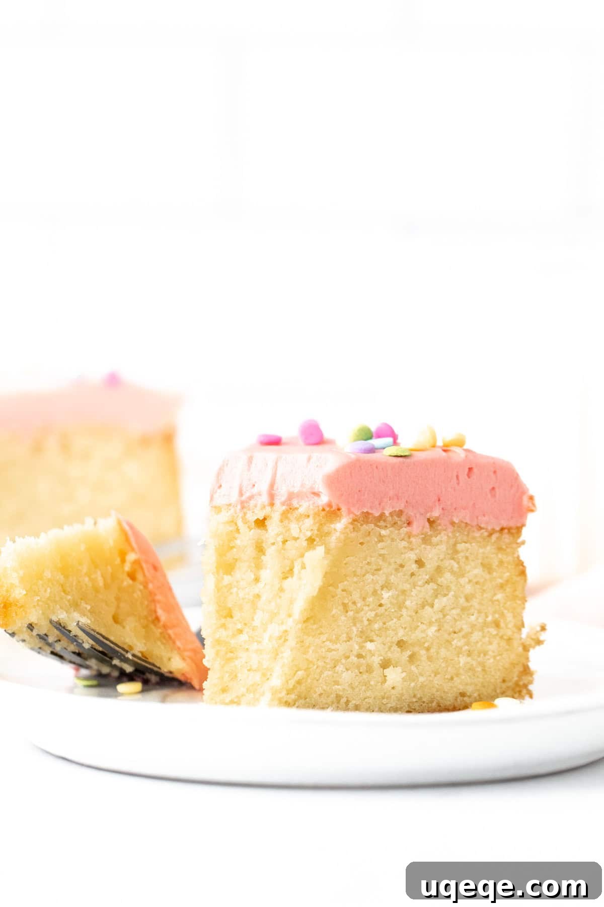 Petite Vanilla Dream 8 Slice of a small single layer 6-inch round cake topped with vanilla frosting