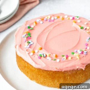 6-inch round mini vanilla cake topped with pink vanilla frosting