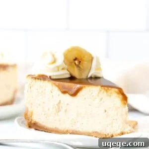 Decadent Banoffee Cheesecake 9 Slice of banoffee cheesecake with caramel, whipped cream and a banana slice on top