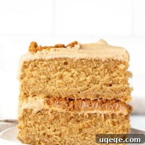 Caramelized Speculoos Indulgence 11 A delectable slice of Biscoff cookie butter cake, showcasing layers of moist cake, rich Biscoff filling, and smooth Biscoff frosting.