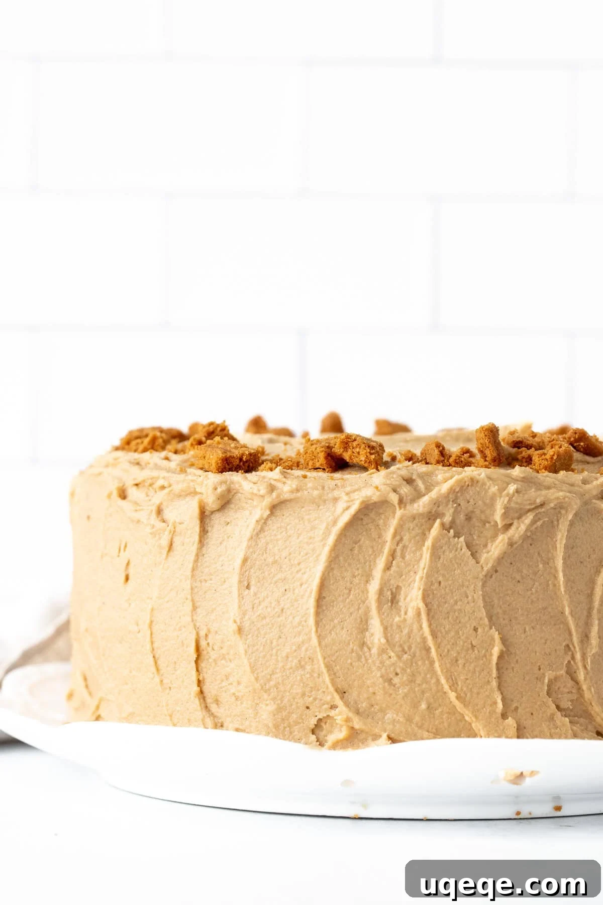 Caramelized Speculoos Indulgence 9 A beautifully frosted Biscoff layer cake, showcasing smooth buttercream and decorative crushed Lotus Biscoff cookies on top.