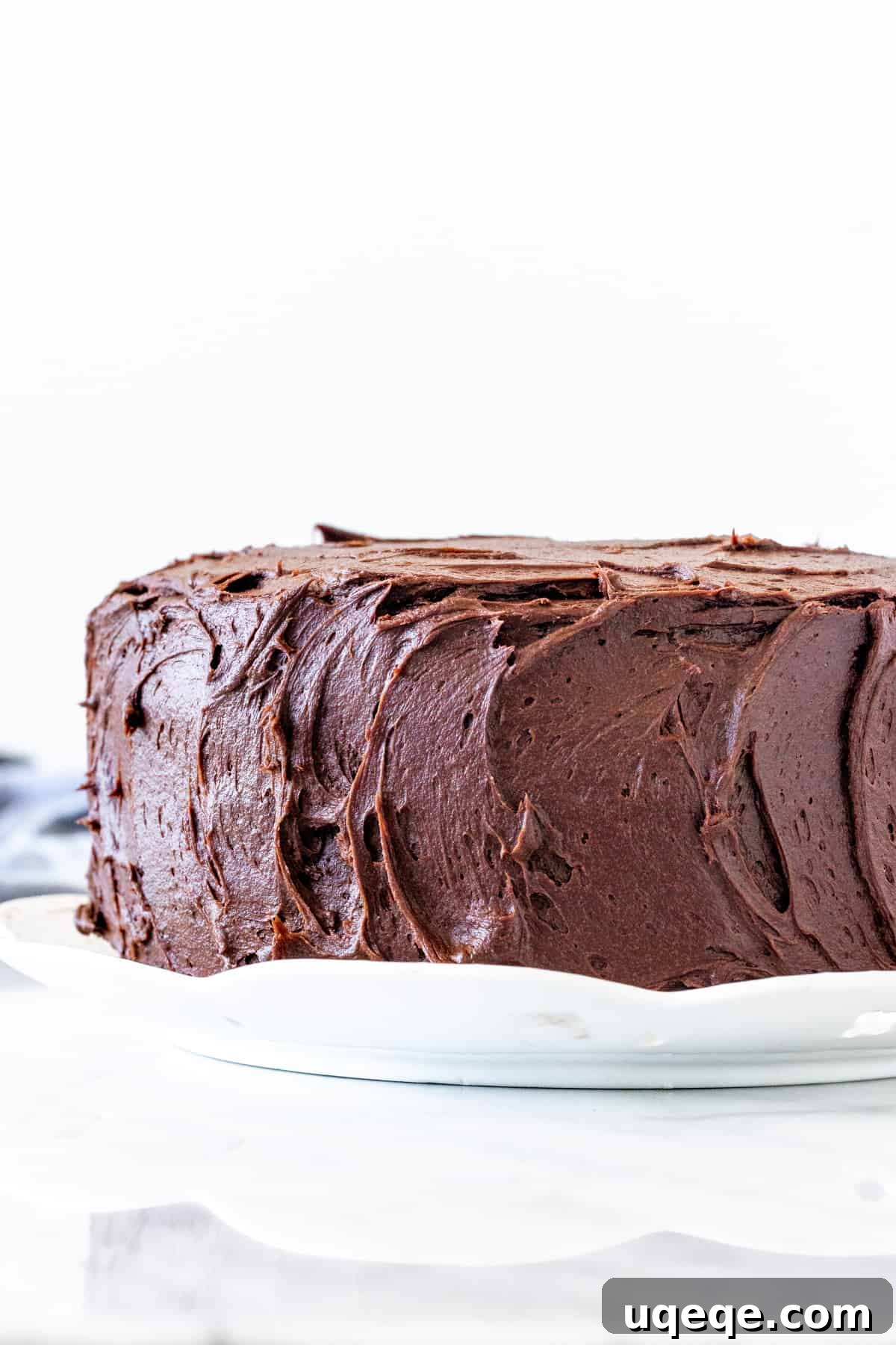 The Ultimate Decadent Double Chocolate Layer Cake Decadent chocolate layer cake adorned with creamy chocolate frosting, ready for a slice.