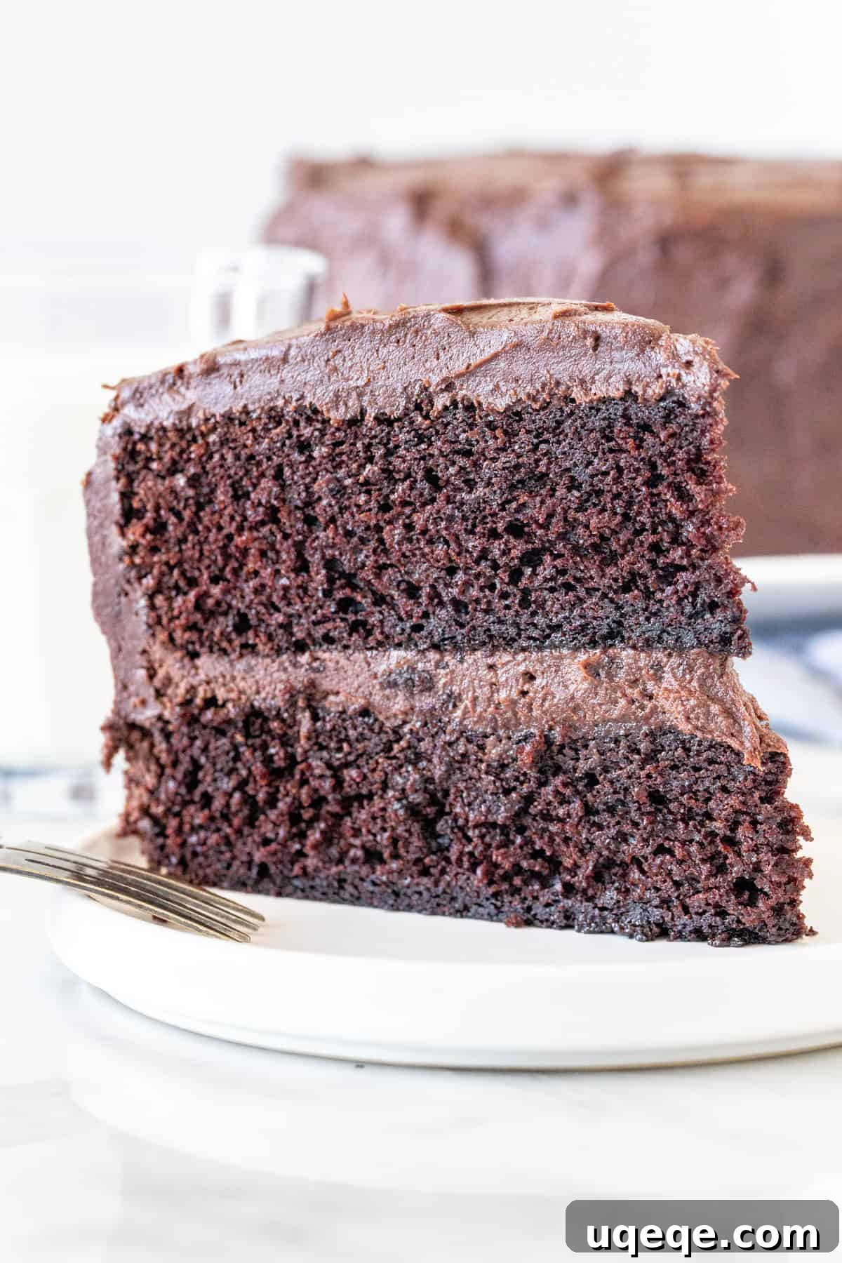Slice of Double Chocolate Layer Cake A perfectly cut slice of the moist double chocolate cake, showcasing its rich layers and creamy frosting.