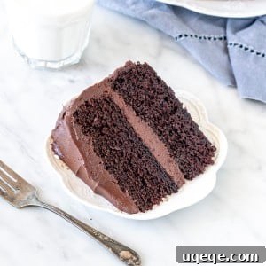 Double Chocolate Cake Recipe Image A beautiful slice of double chocolate cake topped with luscious chocolate buttercream.