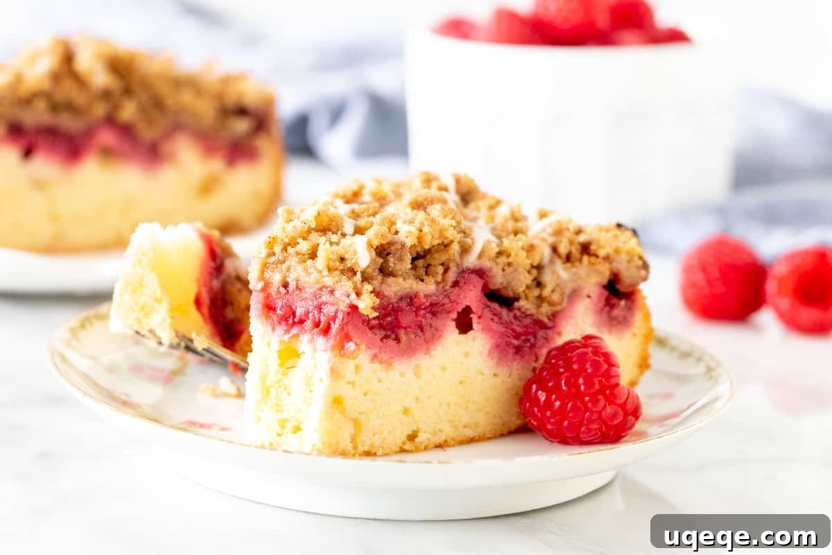 A delectable slice of raspberry crumb cake with a bite taken out, revealing the cake's fluffy texture, juicy raspberry pockets, and substantial streusel layer. A perfect treat.