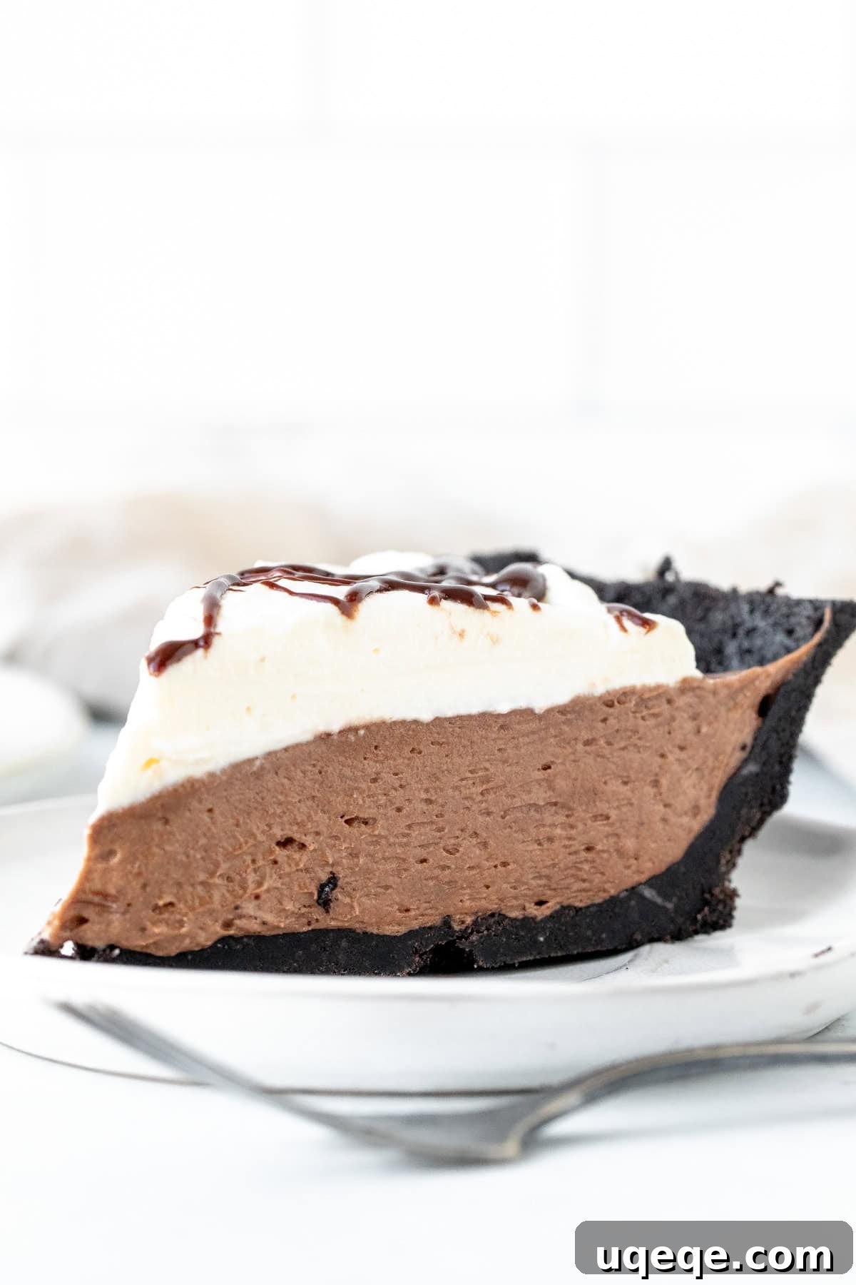 Decadent Nutella Pie 3 A beautifully decorated slice of No-Bake Nutella Pie with whipped cream and chocolate drizzle, showcasing its creamy texture and thick crust.