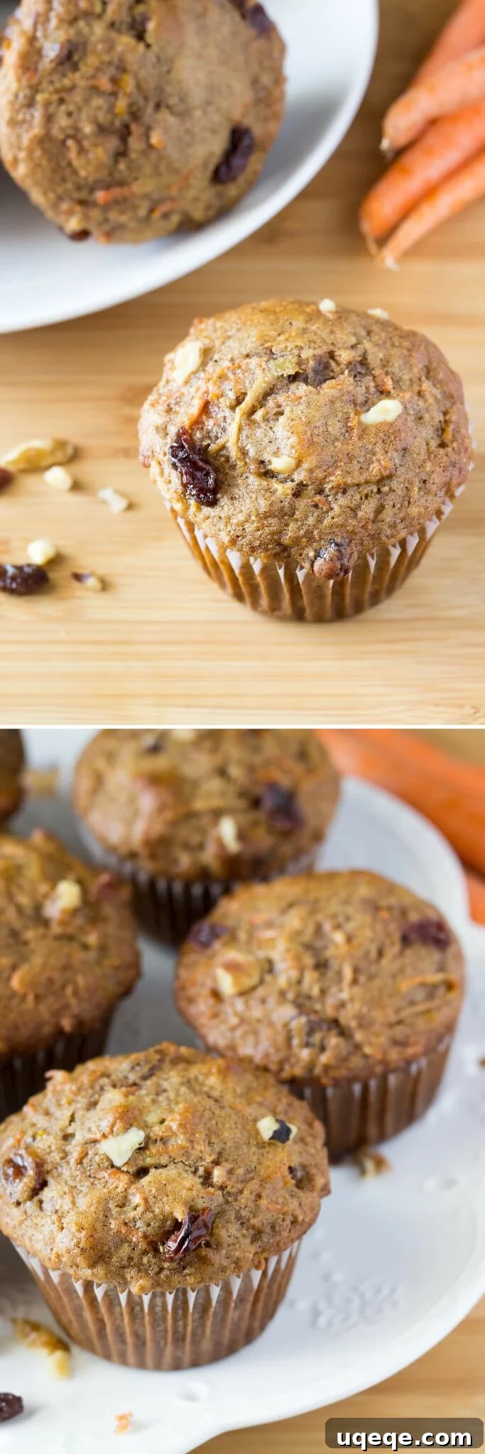 Sunrise Harvest Muffins 3 Close-up of a perfectly baked Morning Glory Muffin, showcasing its moist texture and wholesome ingredients like shredded carrots and raisins.