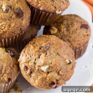 Round image of a Morning Glory Muffin, symbolizing a delicious and healthy breakfast choice.