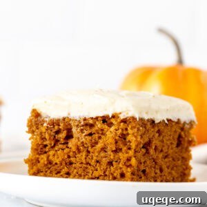 Slice of pumpkin cake with brown butter cream cheese frosting