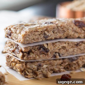 Perfect Chewy Oatmeal Cookie Granola Bars 5 Chewy Oatmeal Cookie Granola Bars