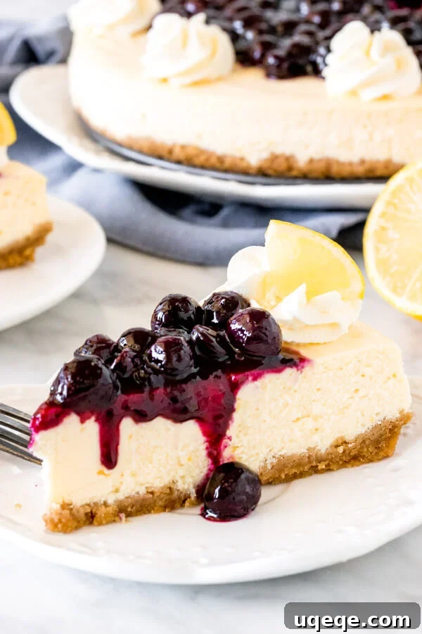 A perfectly sliced lemon cheesecake topped with a generous dollop of shimmering blueberry sauce, resting on a white plate, ready to be enjoyed.