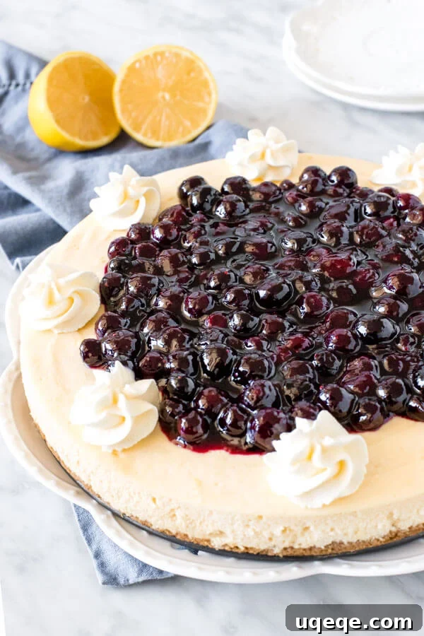 A beautifully baked round lemon cheesecake with a golden crust, generously topped with a rich, dark blueberry compote, ready for slicing.