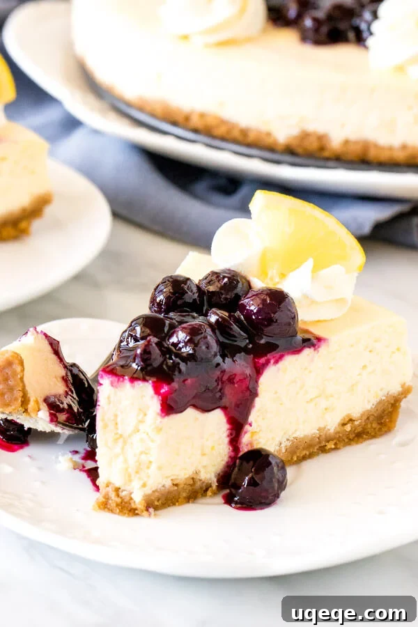 A delectable slice of lemon cheesecake with blueberry compote, with a bite taken, resting on a white plate, and the full cheesecake in the soft-focus background.