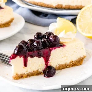 A close-up image of a single slice of lemon cheesecake topped with vibrant blueberry sauce, ready to be served.
