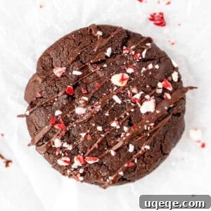 Chocolate peppermint cookie with drizzle of chocolate and crushed candy canes on top