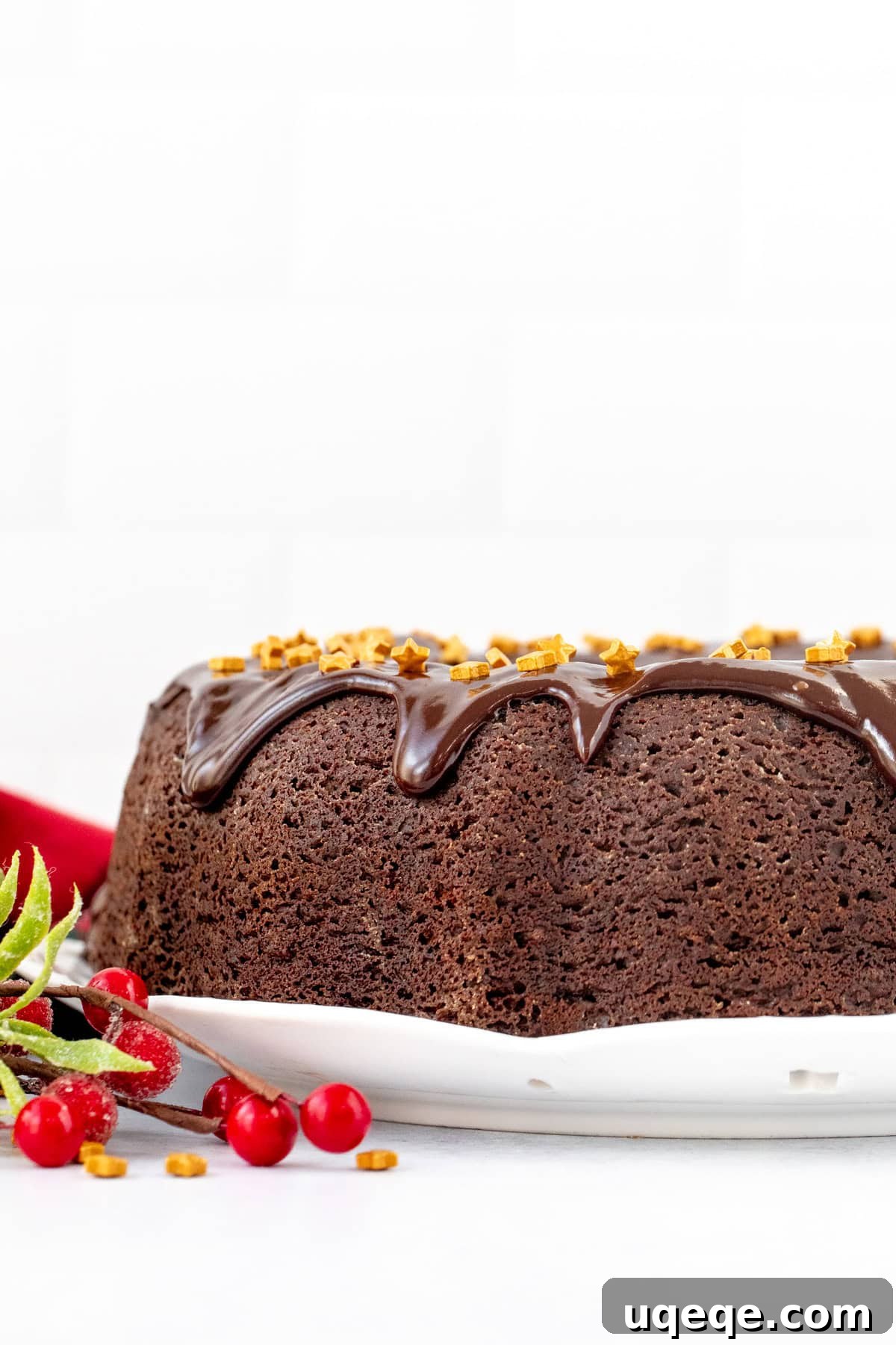 Spiced Chocolate Gingerbread Dream 2 chocolate gingerbread bundt cake topped with chocolate ganache