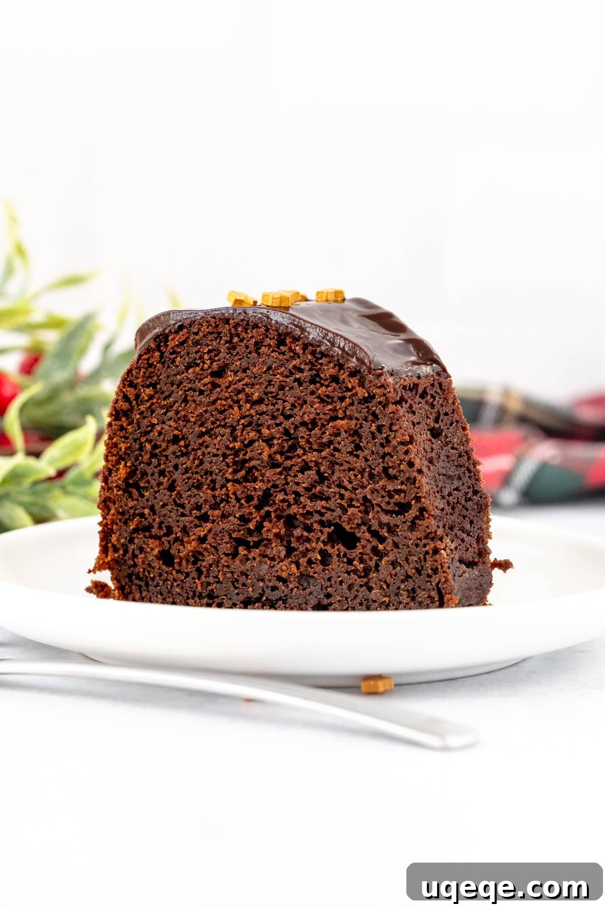 Spiced Chocolate Gingerbread Dream 3 Slice of chocolate gingerbread bundt cake