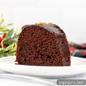 Slice of chocolate gingerbread bundt cake
