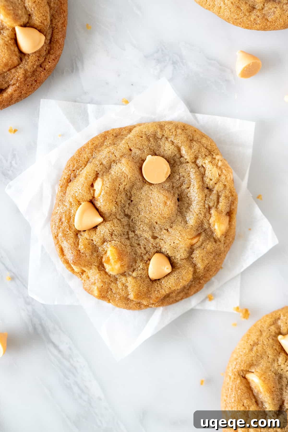 Golden Butterscotch Delights 5 Cookie with butterscotch chips, from above.
