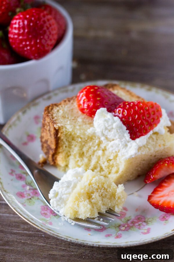 Velvet Vanilla Pound Cake 5 Seriously tender, deliciously buttery, perfectly moist Vanilla Pound Cake. Serve it with fresh fruit and whipped cream for dessert, or have a slice with your morning coffee. Learn the secrets to making this classic cake.
