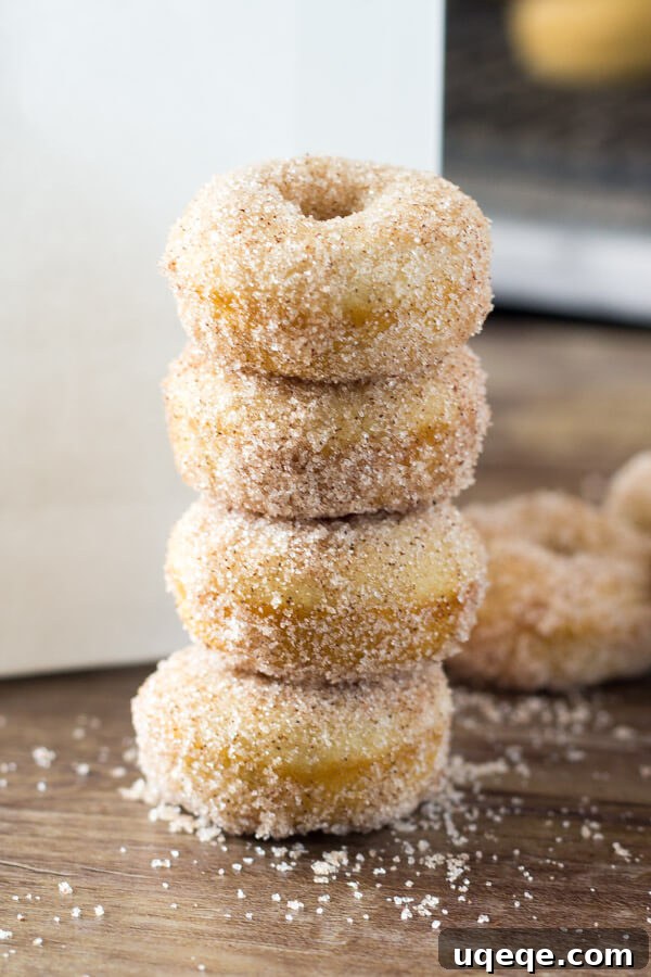 Sweet Cinnamon Doughnut Poppers 3 Mini Cinnamon Sugar Doughnuts just like the fair! With golden edges, a delicious coating of cinnamon sugar, and baked instead of fried - these are the PERFECT copycat recipe!