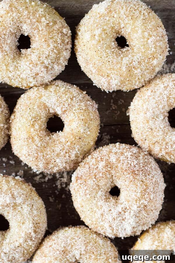Mini Cinnamon Sugar Doughnuts just like the fair! With golden edges, a delicious coating of cinnamon sugar, and baked instead of fried - these are the PERFECT copycat recipe!