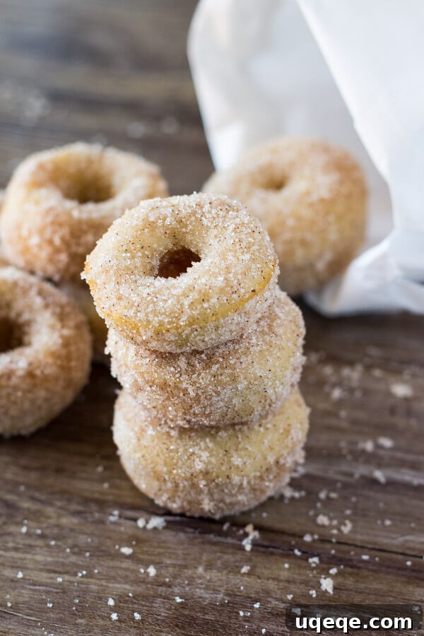 Sweet Cinnamon Doughnut Poppers 5 Mini Cinnamon Sugar Doughnuts just like the fair! With golden edges, a delicious coating of cinnamon sugar, and baked instead of fried - these are the PERFECT copycat recipe!