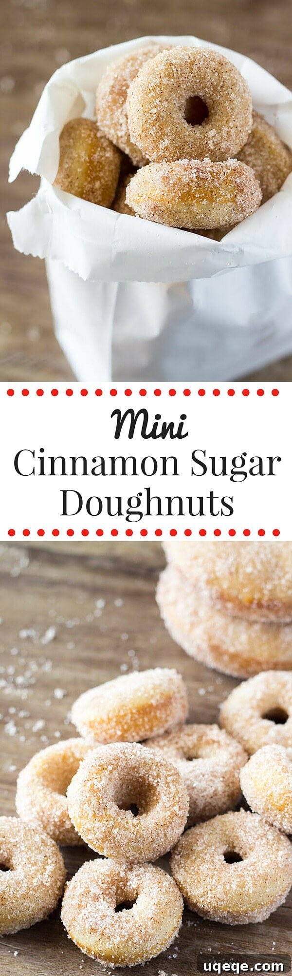 Sweet Cinnamon Doughnut Poppers 6 Mini Cinnamon Sugar Doughnuts just like the fair! With golden edges, a delicious coating of cinnamon sugar, and baked instead of fried - these are the PERFECT copycat recipe!