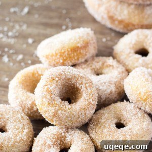 Mini Cinnamon Sugar Doughnuts just like the fair! With golden edges, a delicious coating of cinnamon sugar, and baked instead of fried - these are the PERFECT copycat recipe! www.justsotasty.com