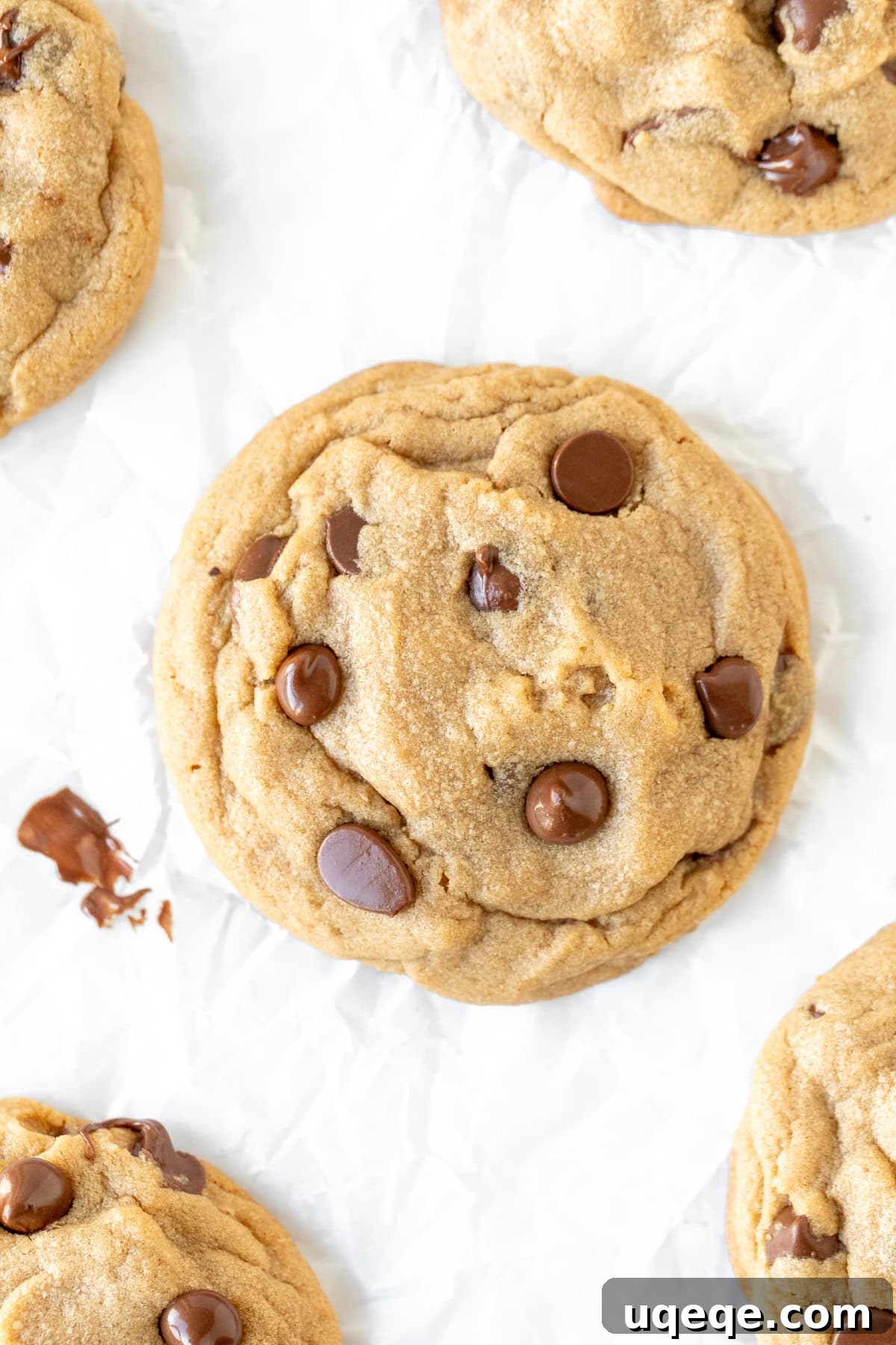Irresistible Peanut Butter Chocolate Chip Cookies 3 Close-up of freshly baked peanut butter cookies with visible chocolate chips, showcasing their golden-brown edges and soft centers.