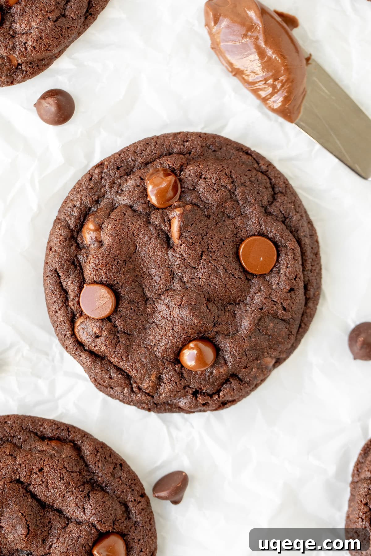Irresistible Nutella Cookies 8 A single Nutella chocolate cookie with a butter knife spread with Nutella nearby, emphasizing the rich hazelnut flavor and perfect cookie texture.