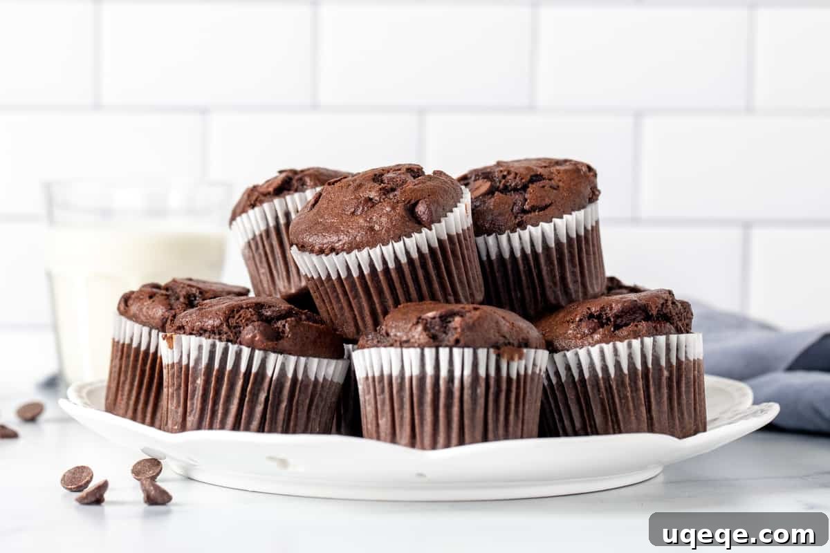Ultimate Double Chocolate Banana Muffins 7 A beautiful plate showcasing several freshly baked double chocolate banana muffins