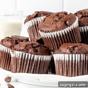 Plate of chocolate banana muffins