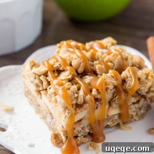 Golden Apple Oat Streusel Bars 6 Close-up of a single Apple Oatmeal Crumb Bar, showcasing its rustic charm and inviting texture, ready for serving.