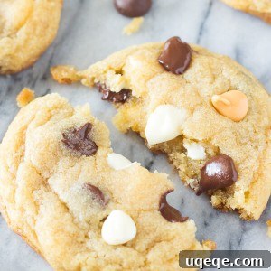 Irresistible Thin Chewy Chocolate Chip Cookies recipe, complete with ingredients, instructions, and nutritional information.