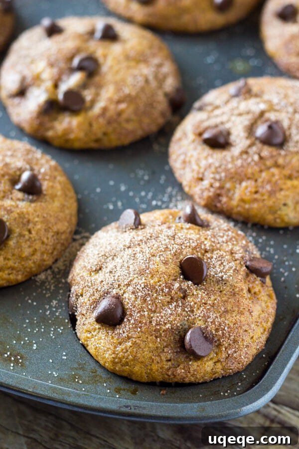 Golden Spiced Pumpkin Chocolate Chip Muffins 2 Moist Pumpkin Chocolate Chip Muffins topped with cinnamon sugar, showcasing their fluffy texture and abundance of chocolate chips.