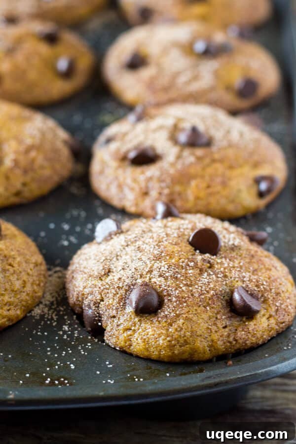 Golden Spiced Pumpkin Chocolate Chip Muffins 5 Pumpkin Chocolate Chip Muffins cooling on a wire rack, ready to be enjoyed.