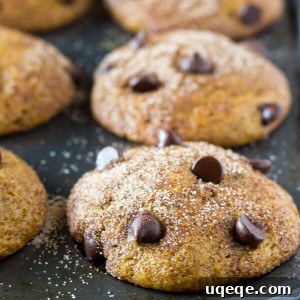 Golden Spiced Pumpkin Chocolate Chip Muffins 6 Super Moist Pumpkin Chocolate Chip Muffins - the perfect fall treat!
