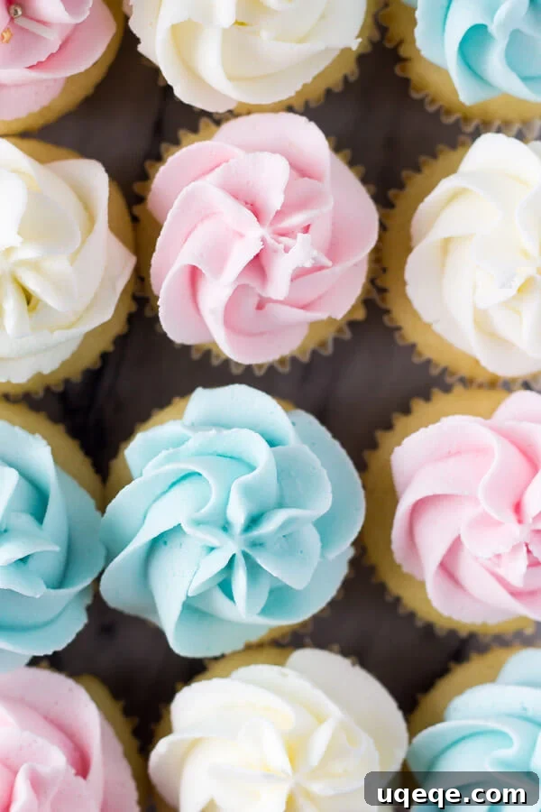 Tiny Vanilla Treats 3 Close-up of fluffy mini vanilla cupcakes with perfectly piped vanilla buttercream frosting.