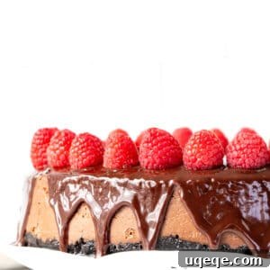 A 9-inch round chocolate cheesecake topped with chocolate ganache and decorated with raspberries, inviting to taste.