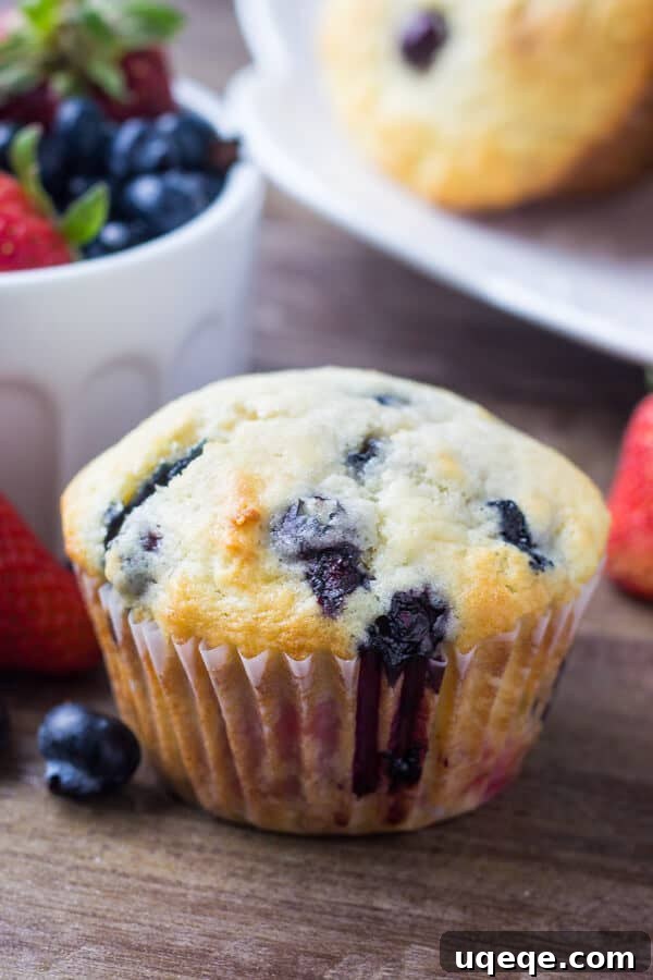 Summer Berry Burst Muffins 2 Triple Berry Muffins. Moist, fluffy, buttery & bursting with berries - make them with fresh or frozen fruit - they're always a hit! www.justsotasty.com