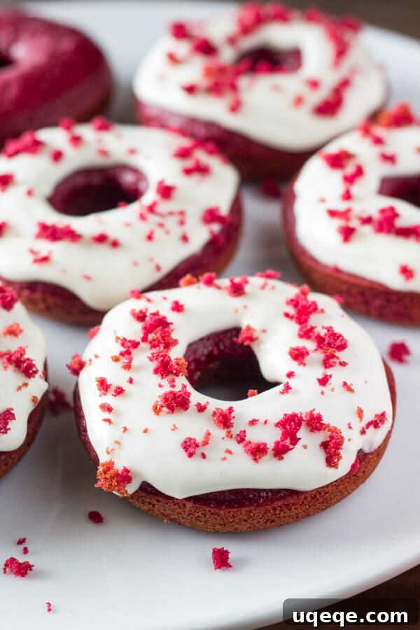 Crimson Velvet Baked Doughnuts 3 Baked Red Velvet Doughnuts. These moist doughnuts have the perfect cake doughnut crumb, a delicious red velvet flavor & a cream cheese glaze. www.justsotasty.com
