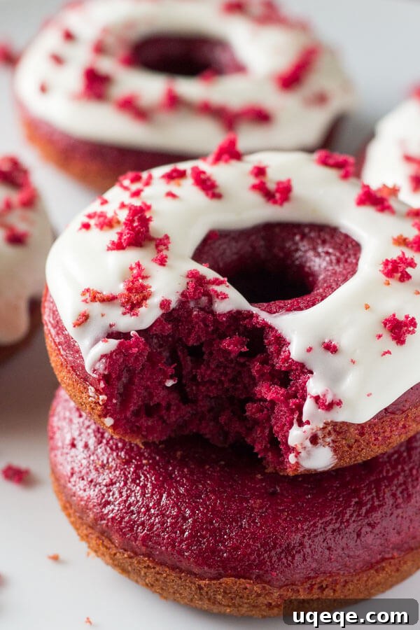 Crimson Velvet Baked Doughnuts 4 Baked Red Velvet Doughnuts. These moist doughnuts have the perfect cake doughnut crumb, a delicious red velvet flavor & a cream cheese glaze. www.justsotasty.com