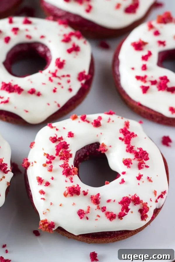 Crimson Velvet Baked Doughnuts 5 Baked Red Velvet Doughnuts. These moist doughnuts have the perfect cake doughnut crumb, a delicious red velvet flavor & a cream cheese glaze. www.justsotasty.com