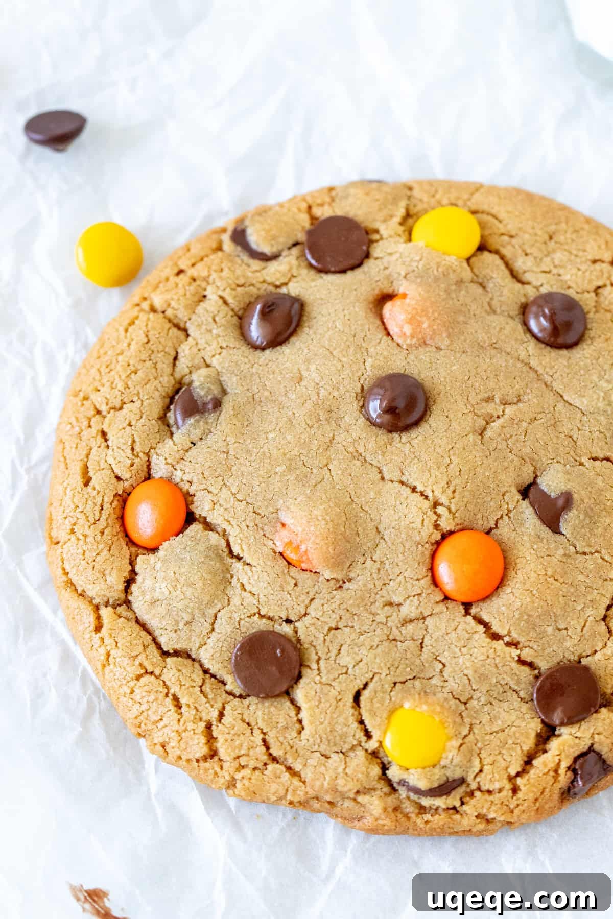 Easy Solo Peanut Butter Cookie 2 A very large, freshly baked peanut butter cookie adorned with chocolate chips and vibrant Reese's Pieces, indicating its generous size and indulgent nature.