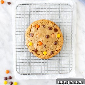Easy Solo Peanut Butter Cookie 6 A perfectly baked peanut butter cookie on a cooling rack, ready to be enjoyed.